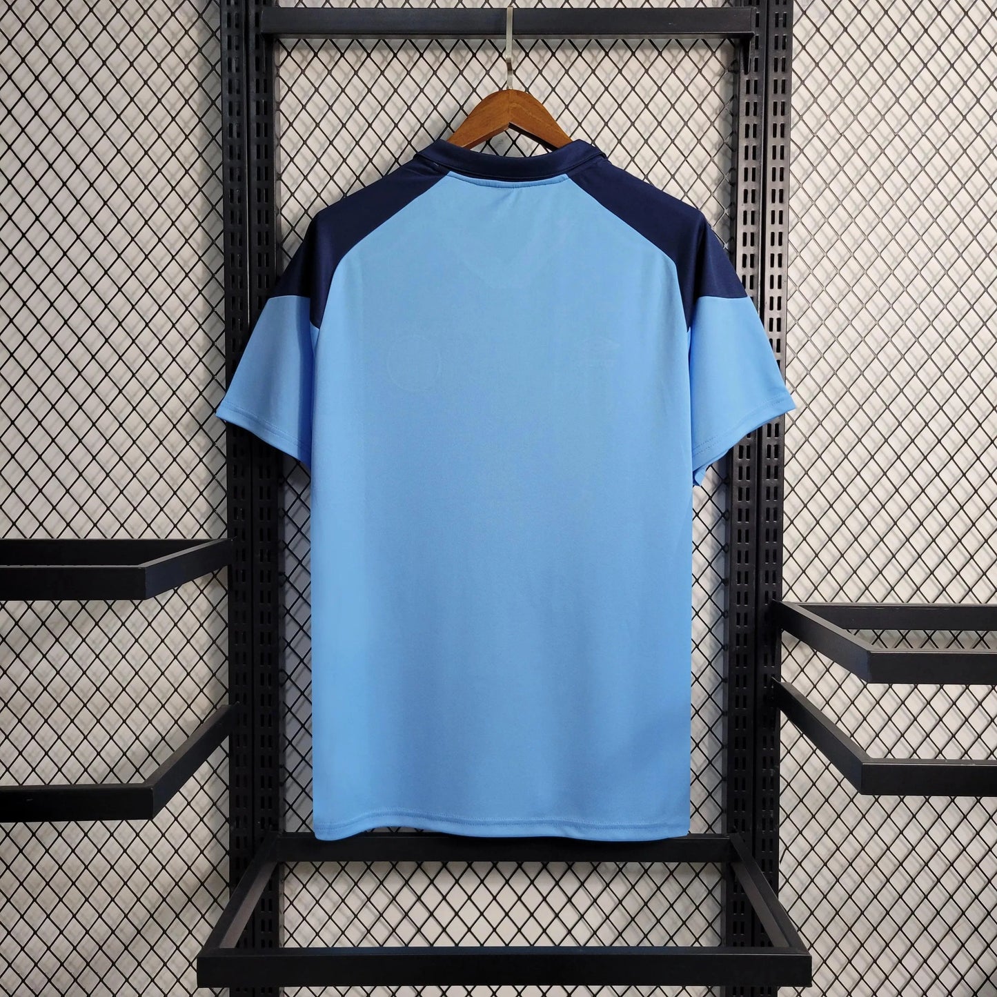 Grêmio 2023/24 training shirt