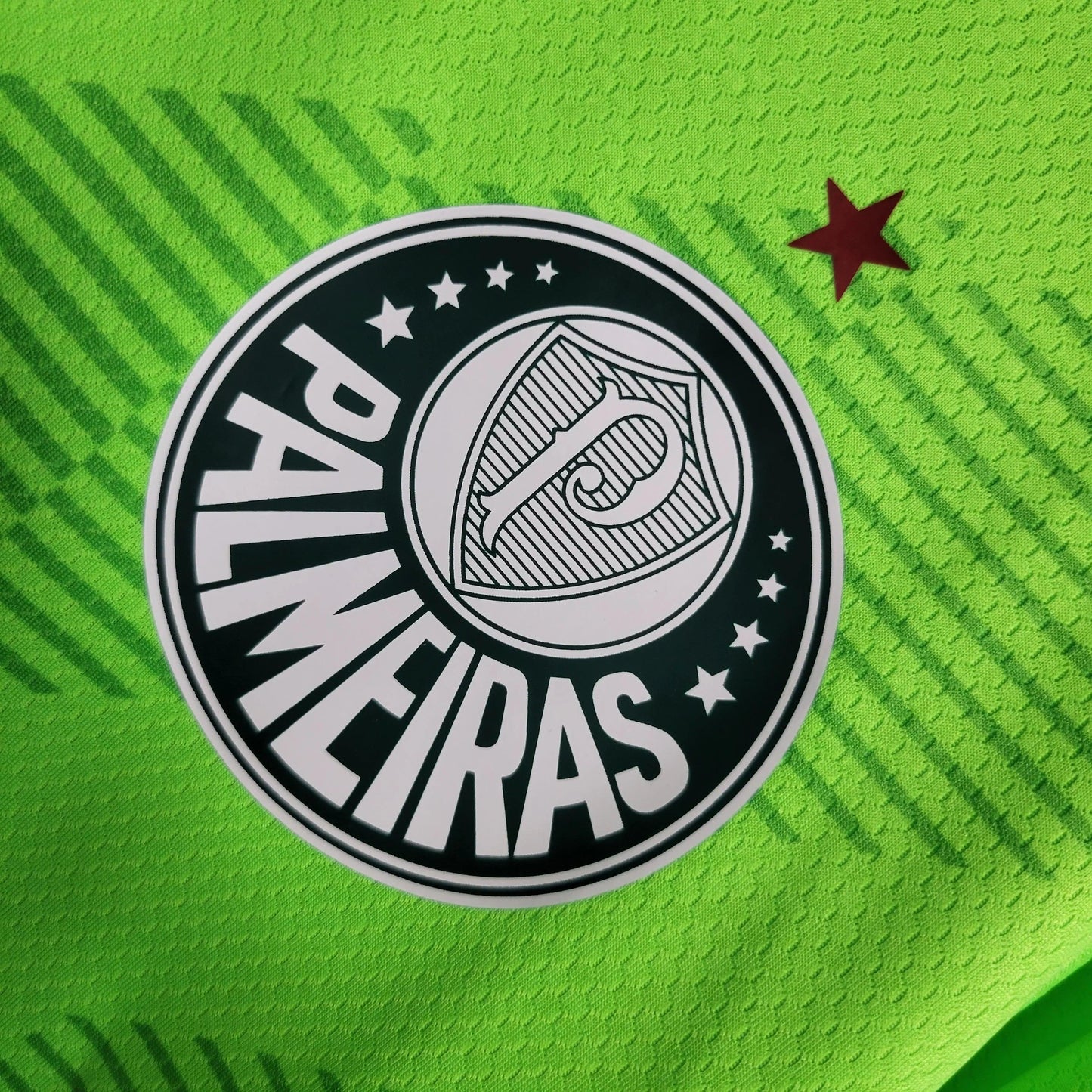 Gk Palmeiras 2023/24 Jersey