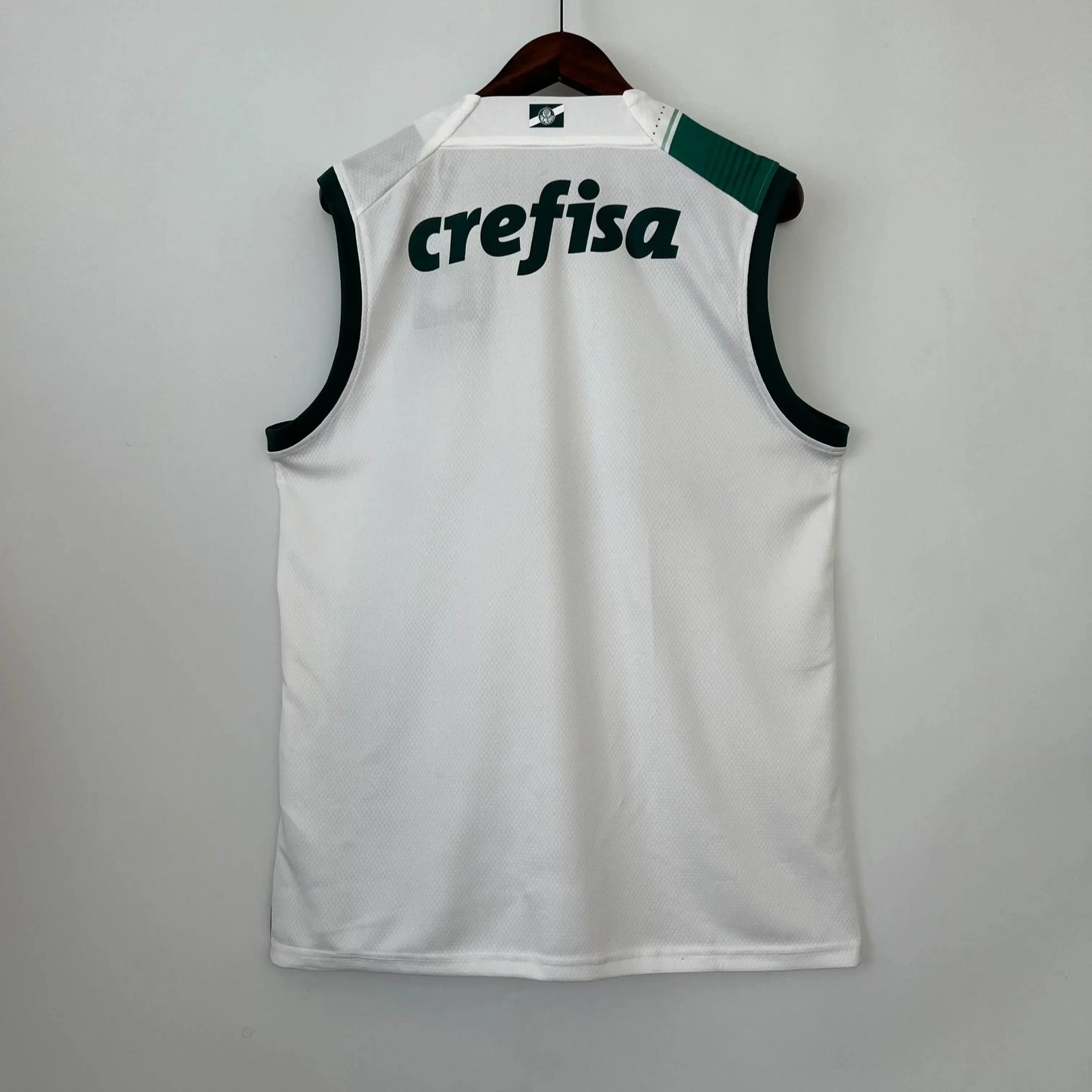 Palmeiras training sleeve 2023/24