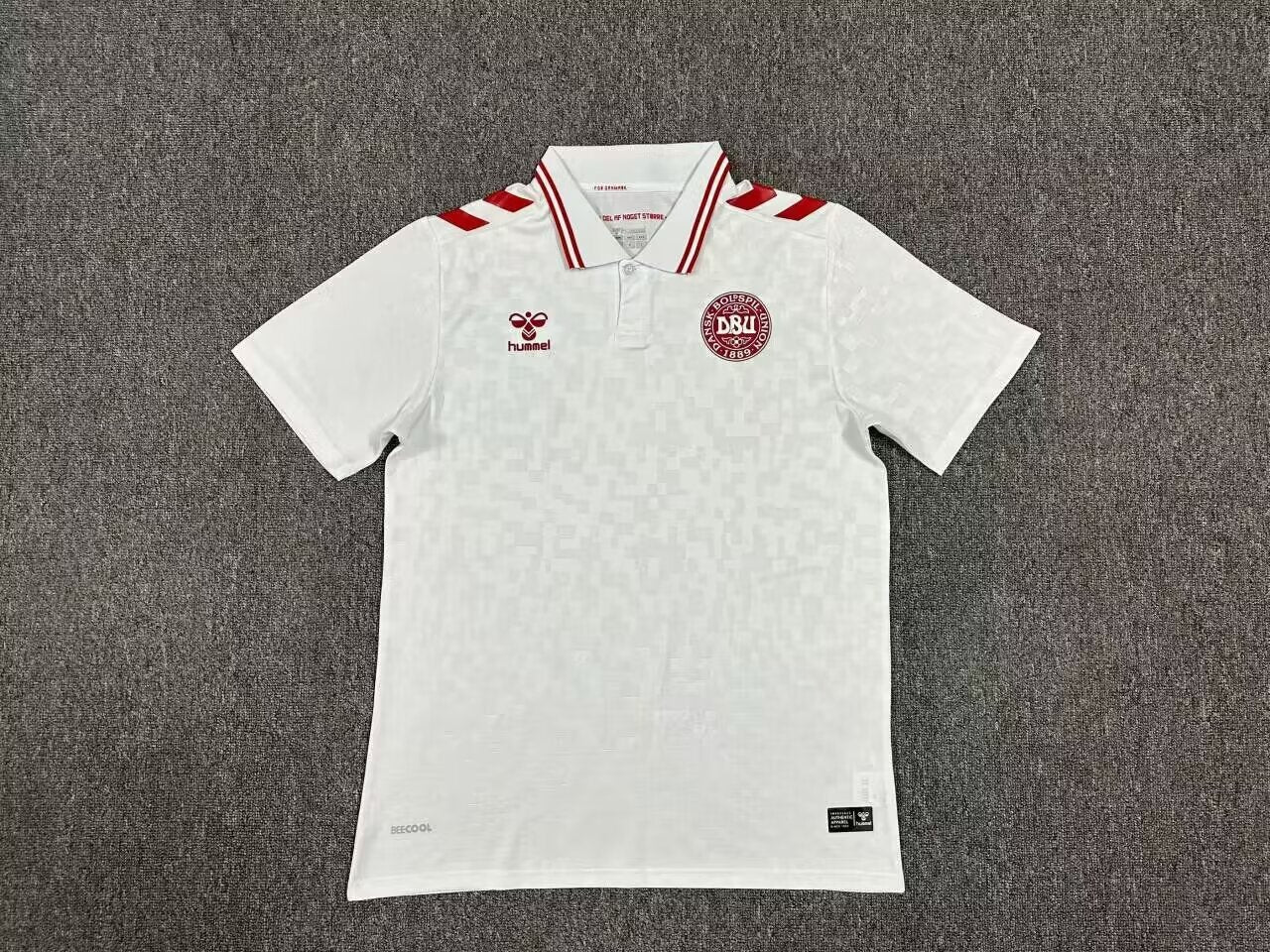 Denmark 2024 Secondary Shirt