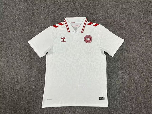 Denmark 2024 Secondary Shirt