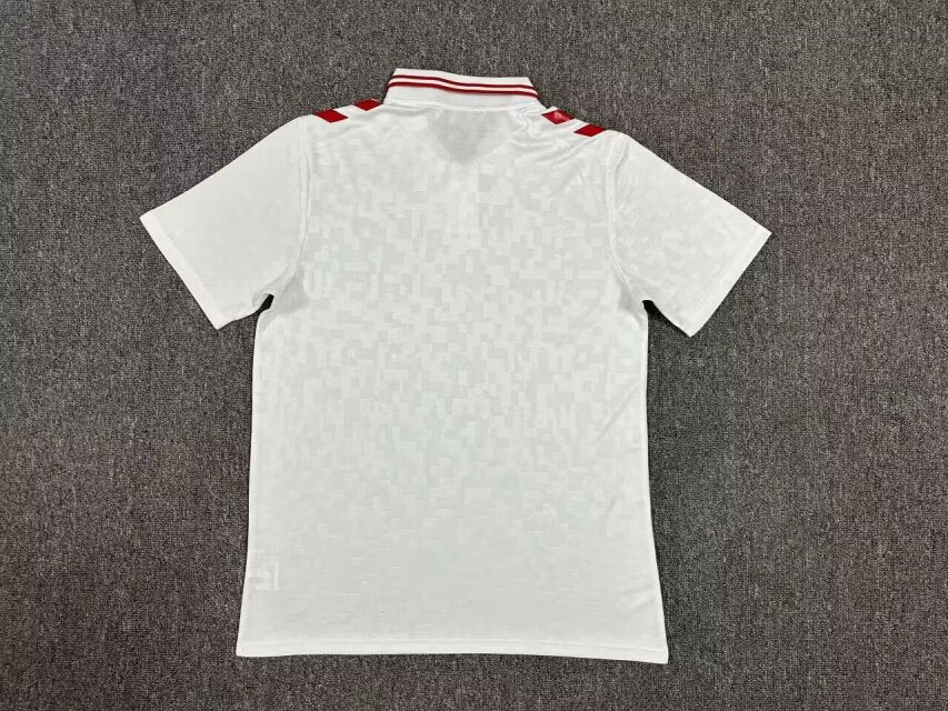 Denmark 2024 Secondary Shirt