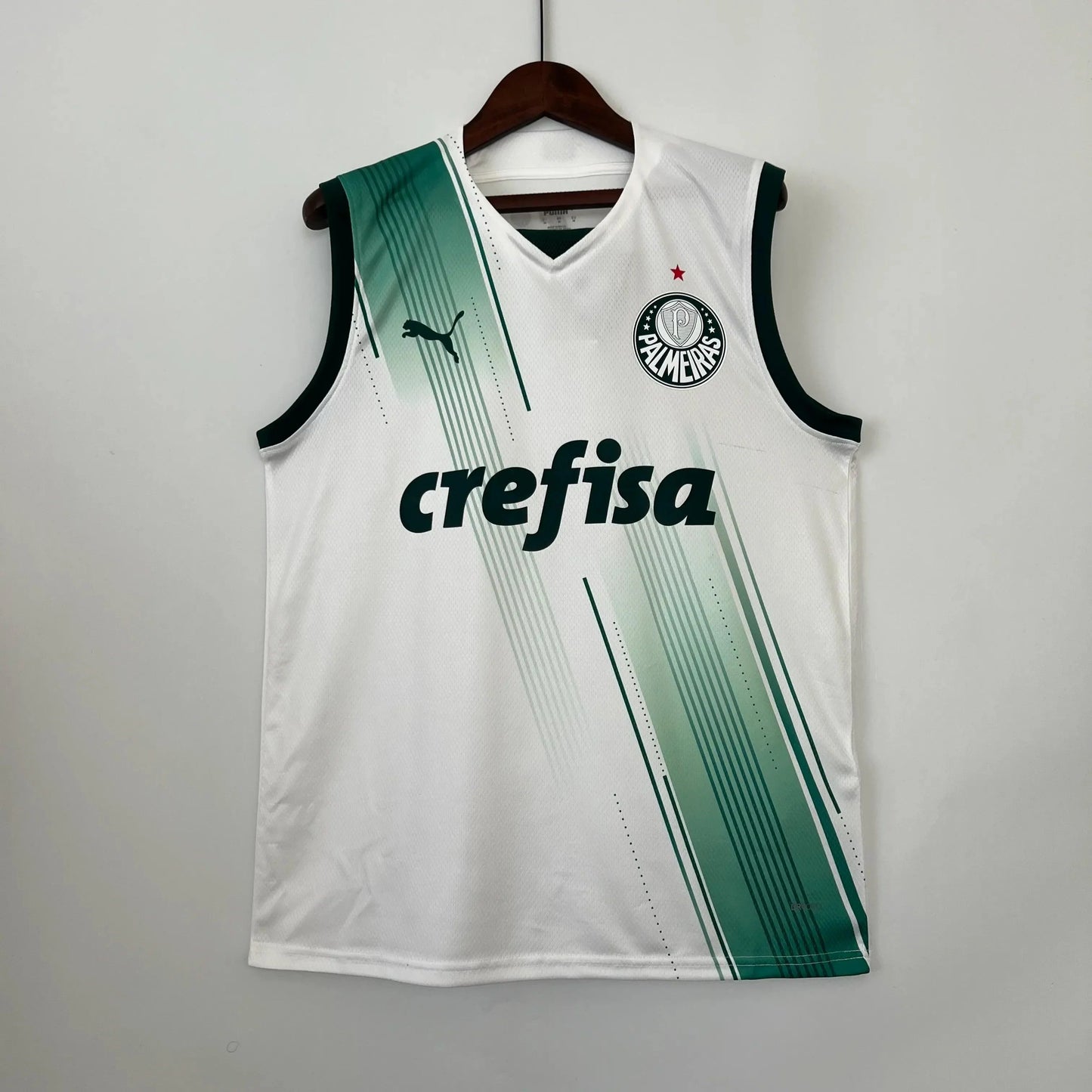 Palmeiras training sleeve 2023/24