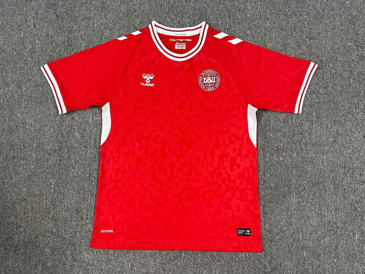 Danemark 2024 Maillot Domicile 