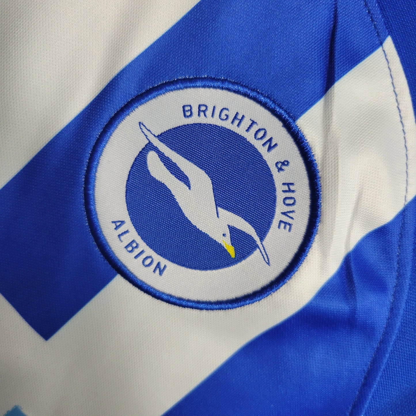 Kit Criança Principal Brighton 2023/24