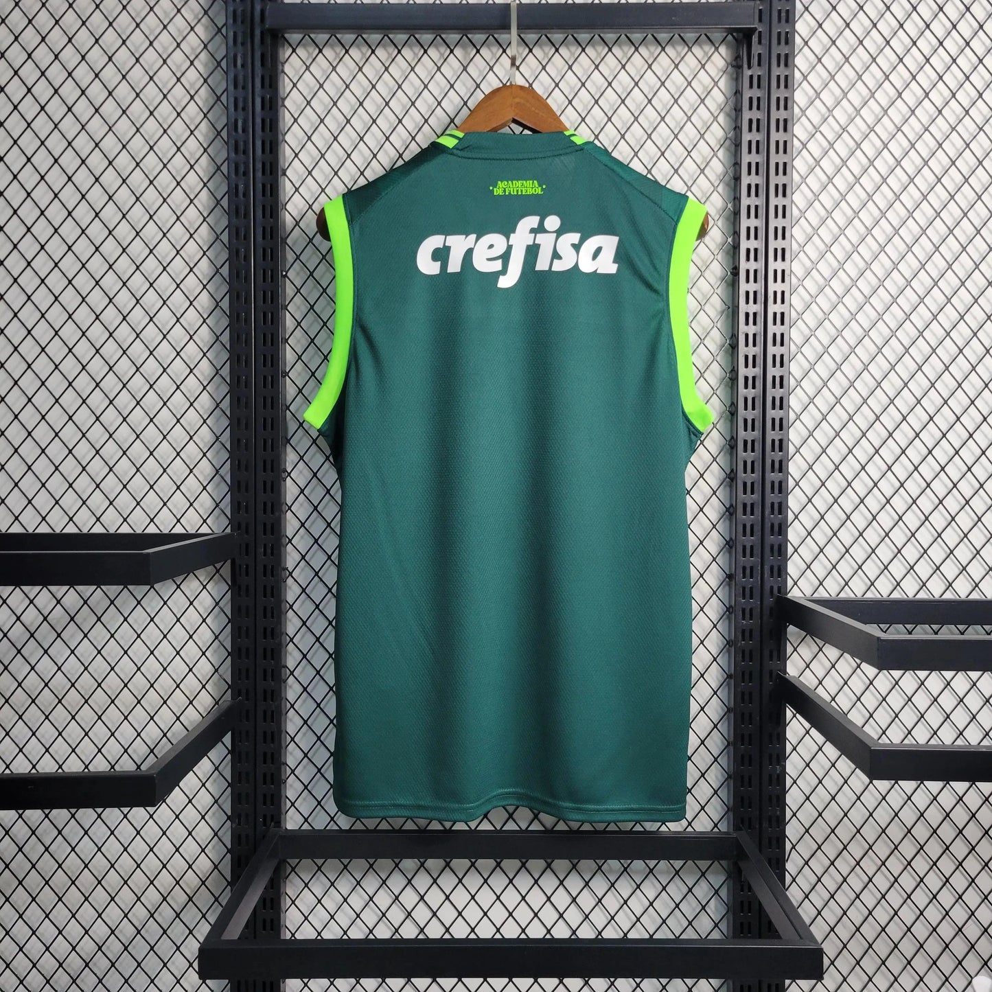 Palmeiras training sleeve 2023/24