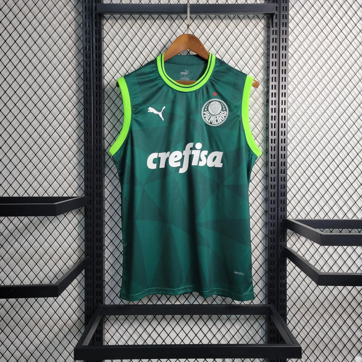 Palmeiras training sleeve 2023/24